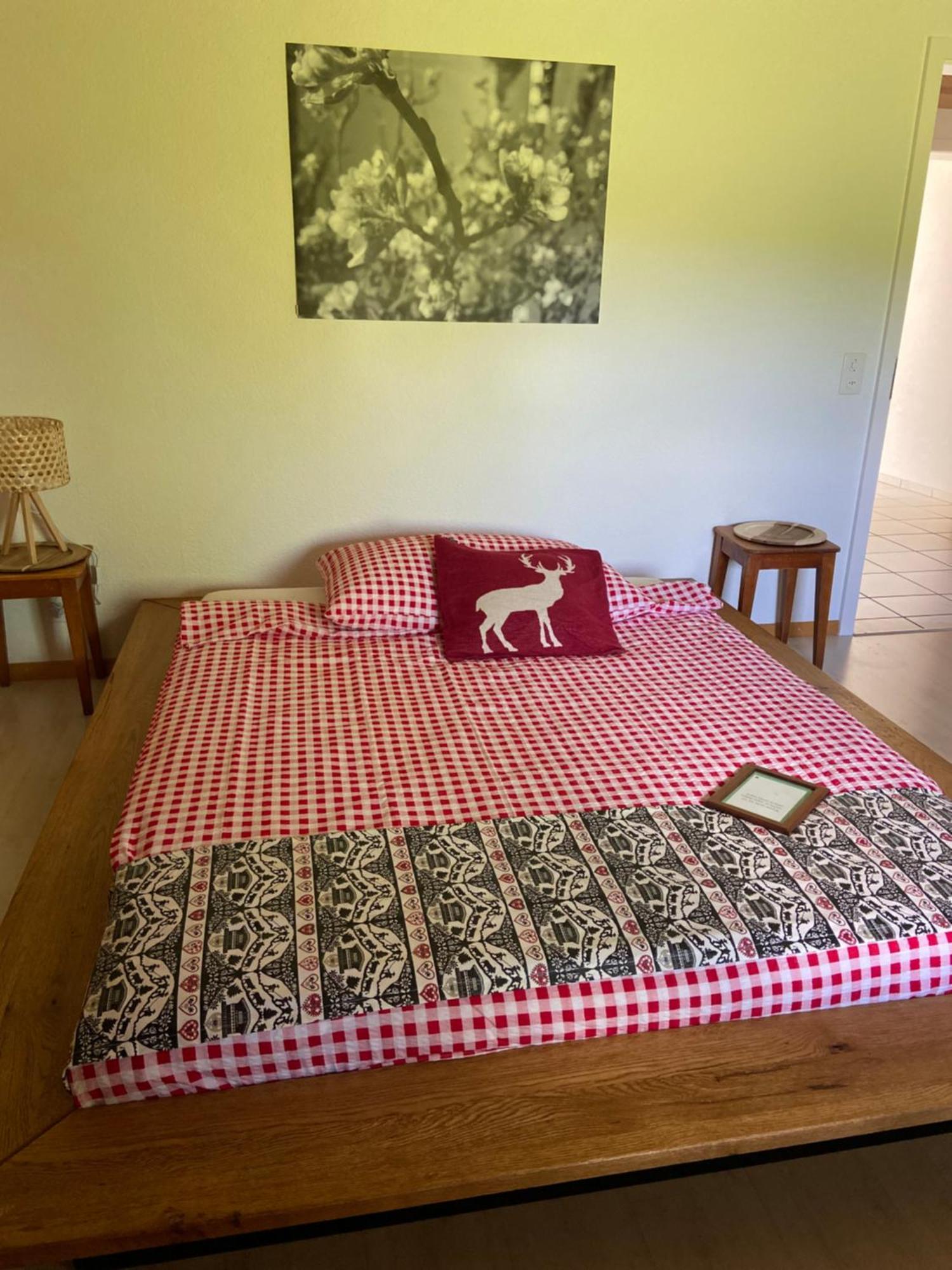 Naturnahe Familienwohnung Ruschegg المظهر الخارجي الصورة