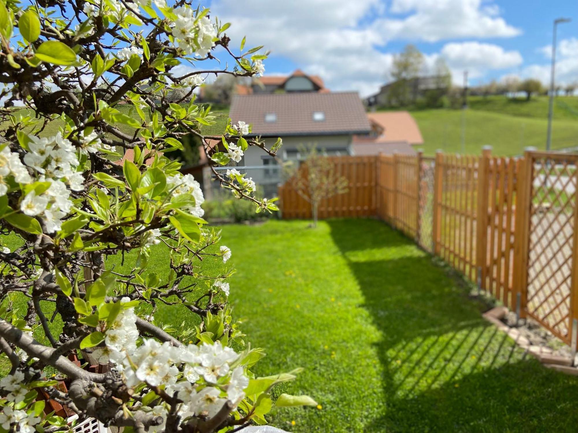 Naturnahe Familienwohnung Ruschegg المظهر الخارجي الصورة